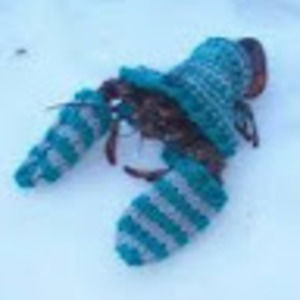 Meet your Posher, Calvin